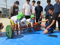 IMG_3493 IMG_3493