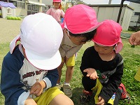 IMG_1475 IMG_1475