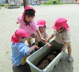 IMG_1623 IMG_1623