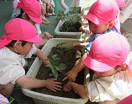 IMG_1632 IMG_1632
