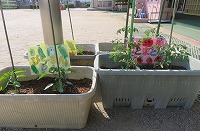 IMG_2243 IMG_2243