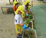 IMG_2210 IMG_2210