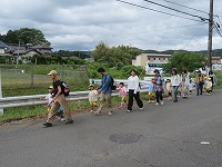 IMG_2368 IMG_2368