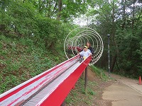 IMG_2433 IMG_2433