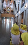 IMG_2551