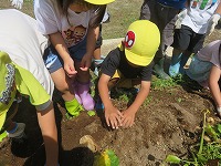 IMG_2576
