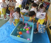IMG_2858