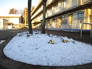 雪景色