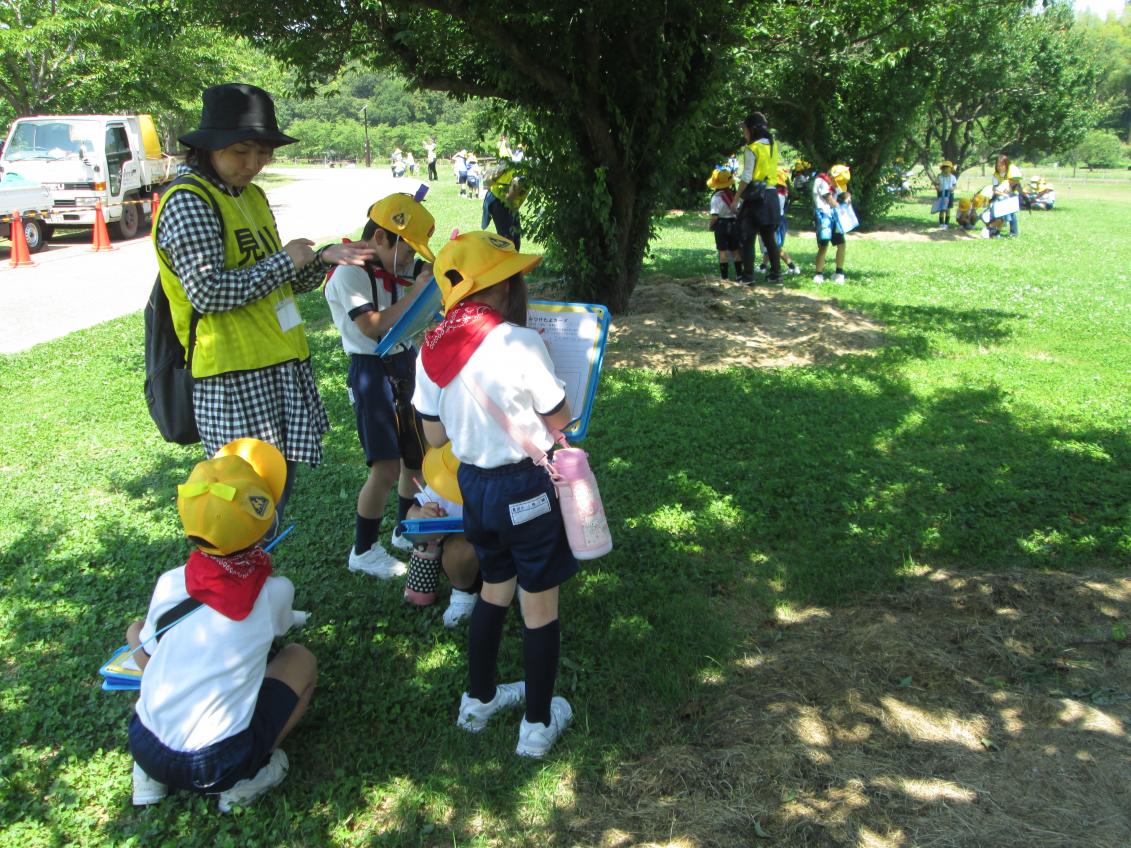IMG_0009 IMG_0009