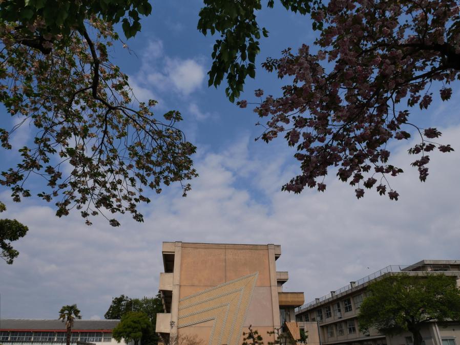 P1110154