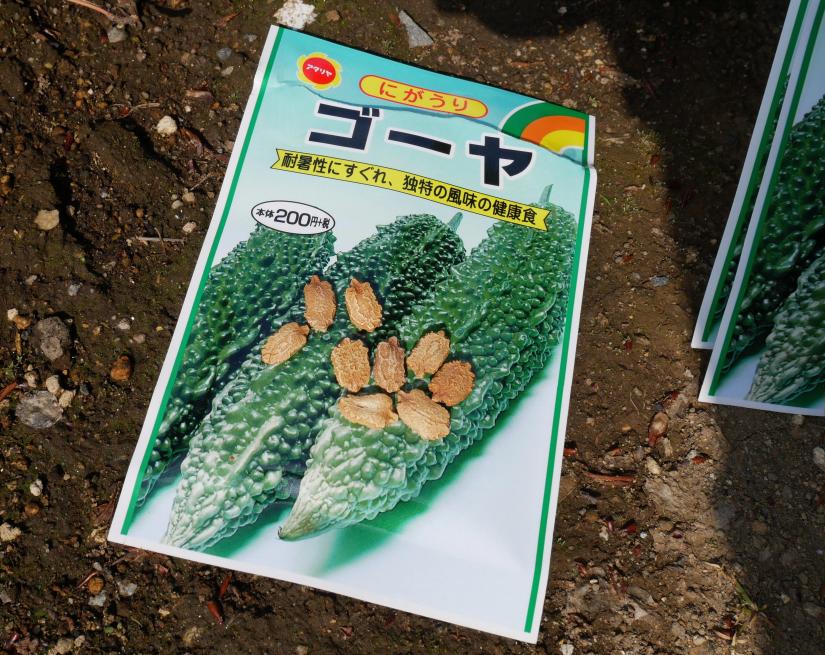 P1110144