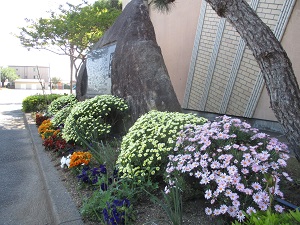 おにぎり石と花 おにぎり石と花