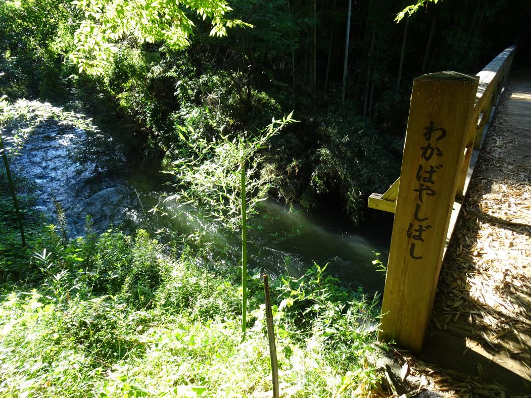 DSC00446