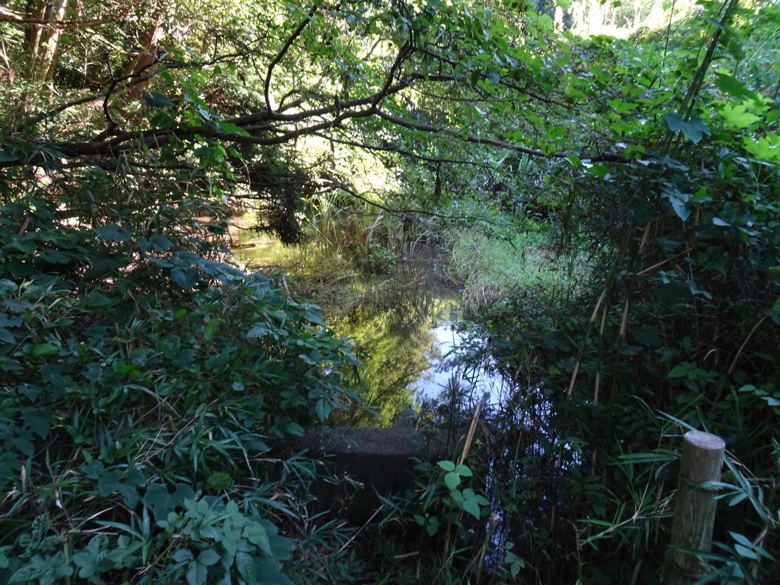 DSC00449