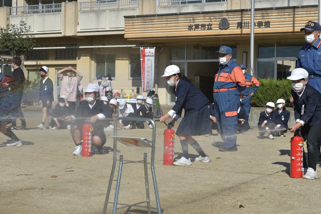_HAS0780