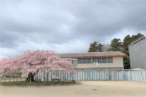 0405(5)