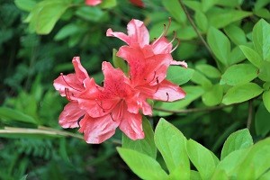 0426(15)