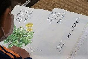 0506(3)