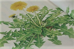 0506(5)