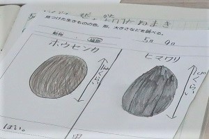 0509(4)