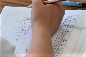 0519(3)
