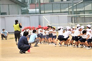 0603(11)