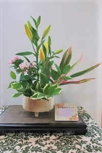 0607(20)