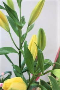0607(21)