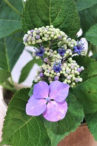 0622(1)