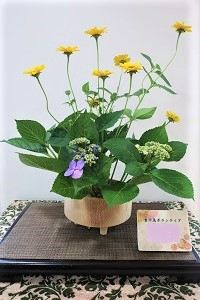 0622(2)