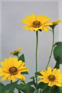 0622(3)