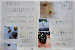 0704(12) 0704(12)