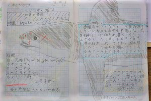 0705(12)