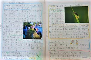 0705(17) 0705(17)