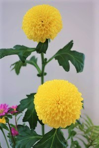 0706(2)
