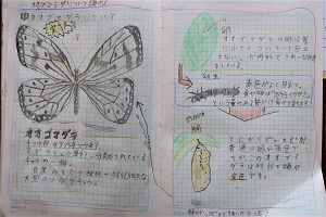 0706(2) 0706(2)