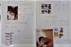 0707(24) 0707(24)