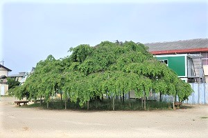 0506(1)