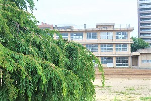 0719(2) 0719(2)