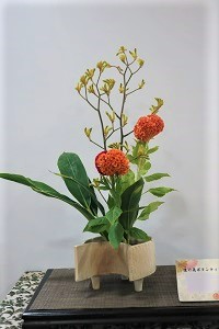 1006(2)