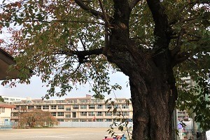 1104(5)