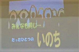 1111(7)