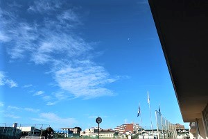 1114(1)