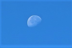 1114(2) 1114(2)