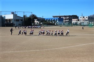 1114(3)