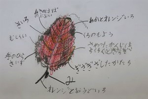 1117(7)
