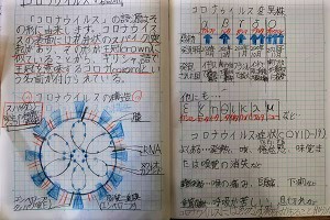 1206(3) 1206(3)