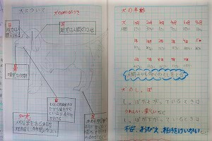 1206(9) 1206(9)