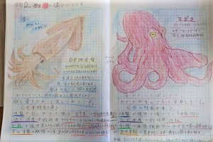 1206(12)