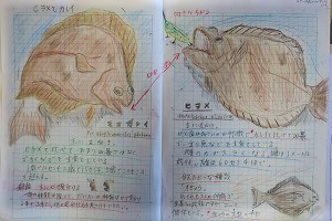 1206(18) 1206(18)